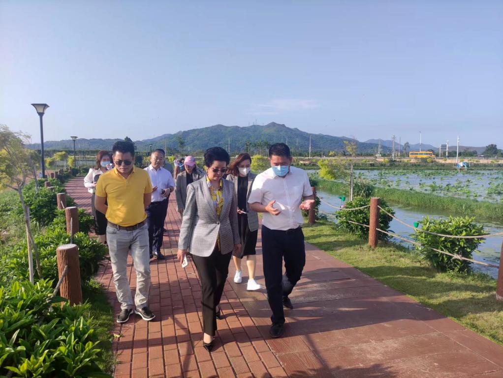 省生态修复协会轮值会长单位龙8头号玩家集团带队赴汕尾全域土地整治军民融合试点项目调研