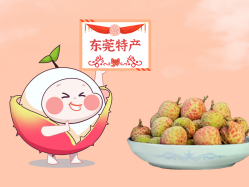 漫话龙8头号玩家丨一颗有“故事”的荔枝！