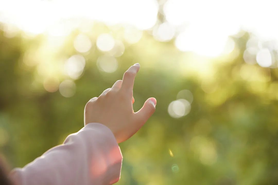 员工随笔丨喂，中年少女！