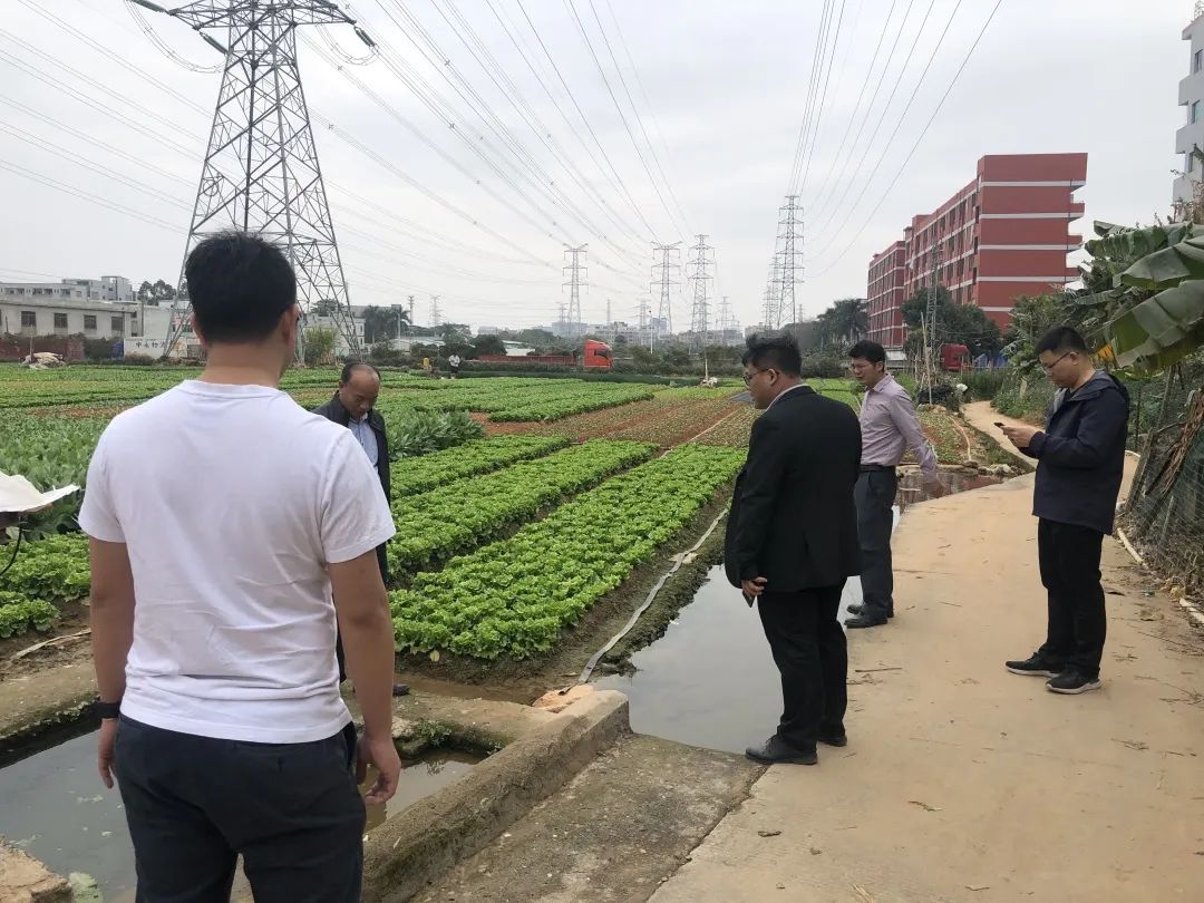 助力乡村振兴，龙8头号玩家一直在努力！