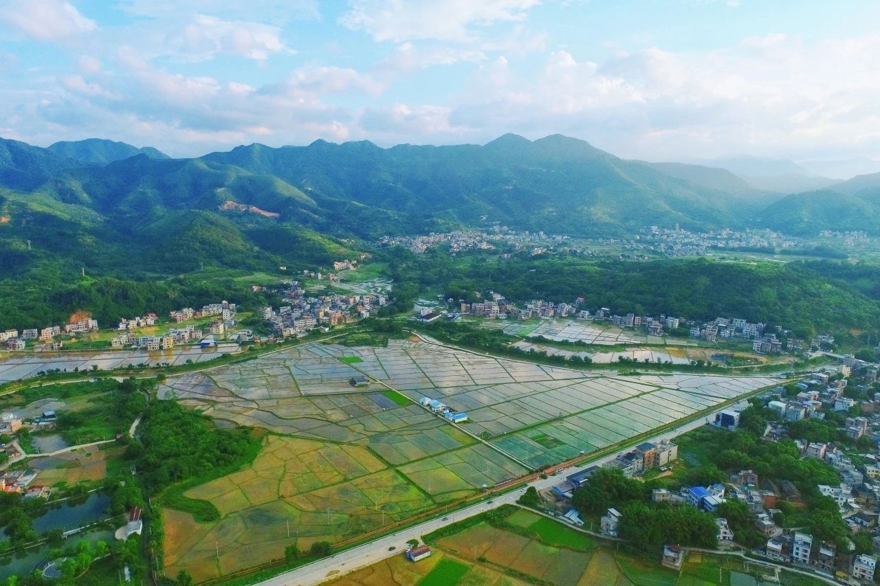 龙8头号玩家集团丨“百千万工程”显实效：云浮罗定泗纶镇以全域土地综合整治为抓手，绘就乡村振兴新画卷